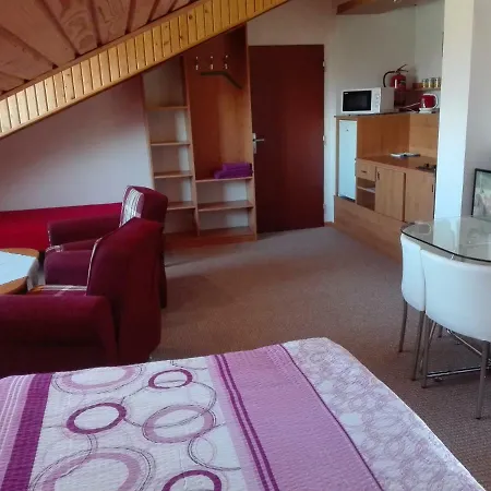 Mirka Pensionat 3*